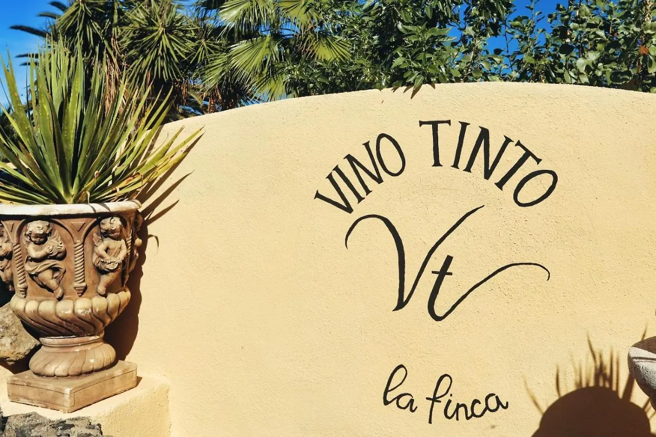 Finca Vino Tinto 5S Icod De Los Vinos 0*,  Spagna